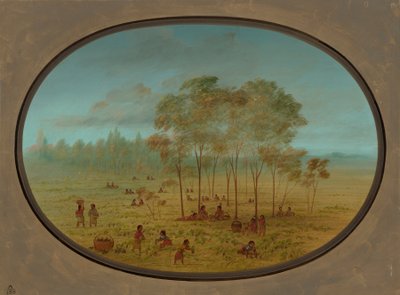 Kiowa indiánok vadszőlőt gyűjtenek, 18611869. alkotó: George Catlin