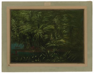 Luxus erdő az Amazonas partján alkotó: George Catlin
