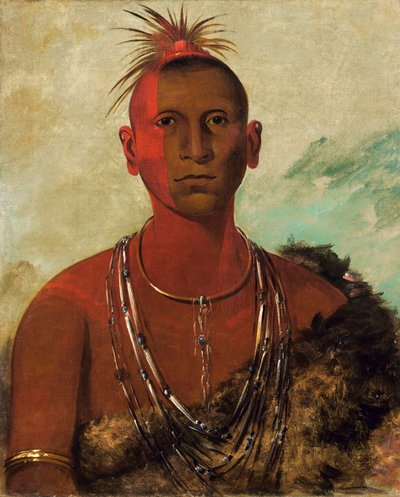 Náh-se-ús-kuk, Örvénylő Mennydörgés, Fekete Sólyom legidősebb fia. alkotó: George Catlin