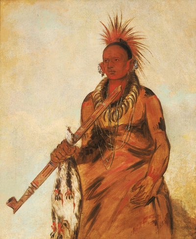  alkotó: George Catlin