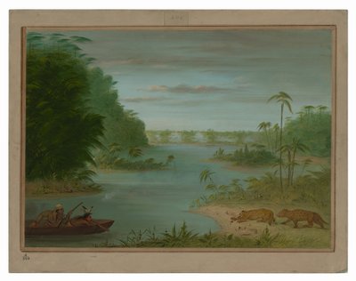 Pont de Palmiers és a tigris lövöldözés alkotó: George Catlin