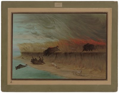 Prairie Meadows Burning alkotó: George Catlin