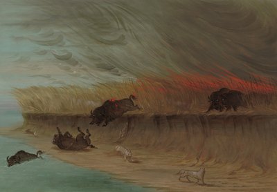 Prairie Meadows Burning, 18611869. alkotó: George Catlin
