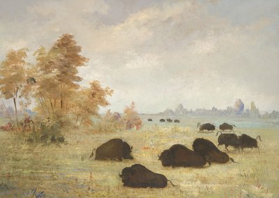 Stalking Buffalo, Arkansas alkotó: George Catlin