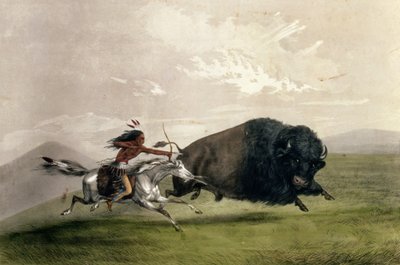 The Buffalo Chase "Singling Out", pub. írta Currier és Ives alkotó: George Catlin