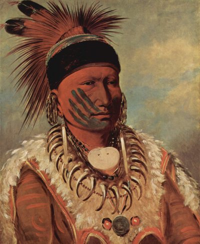 Fehér Felhő, az iowák főnöke alkotó: George Catlin