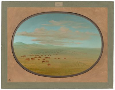 Vadmarha legeltetés a Pampa del Sacramentón alkotó: George Catlin