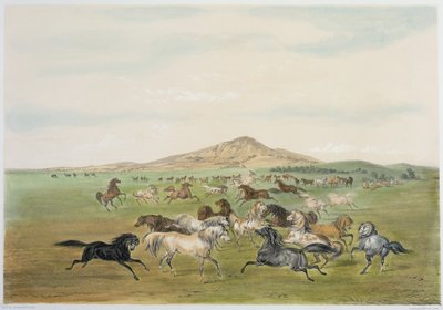 Vadlovak játék közben (színes litográfia) alkotó: George Catlin