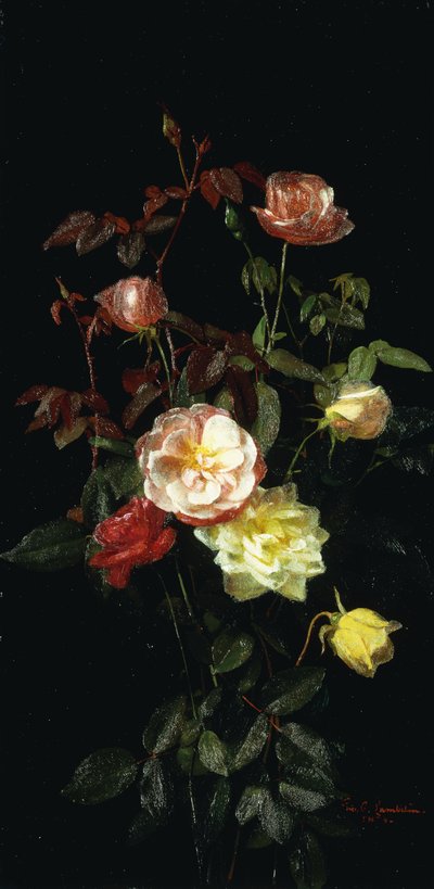 Rózsák, 1878 alkotó: George Cochran Lambdin
