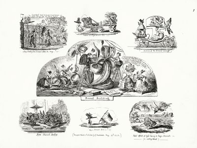 George Cruikshank rajzfilmjei a nagyméretű női motorháztetők témájában (metszet) alkotó: George Cruikshank