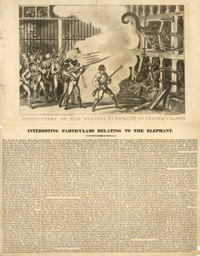 A dühös elefánt megsemmisítése Exeter Change-ben alkotó: George Cruikshank