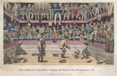 Patkányok ölése, "Élet Londonban stb.", Pierce Egan alkotó: George Cruikshank