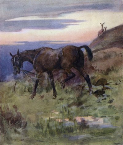 Illusztráció: Egy gímszarvas története (színes litó) alkotó: George Denholm Armour