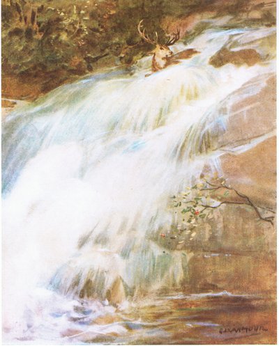 Fejét a levegőbe vetette, utolsó dacként, és belevetette magát a vízesésbe (színes litho) alkotó: George Denholm Armour
