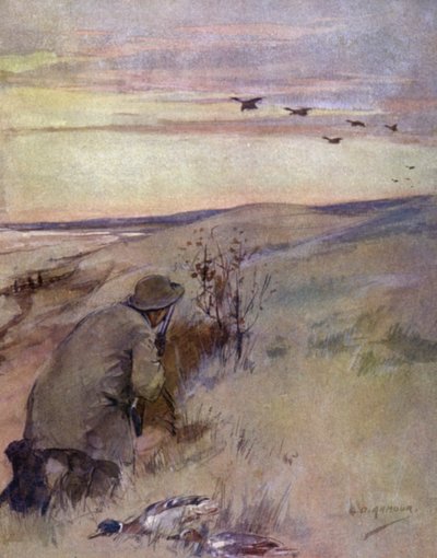 Vadszárnyas: repülés (színes litho) alkotó: George Denholm Armour
