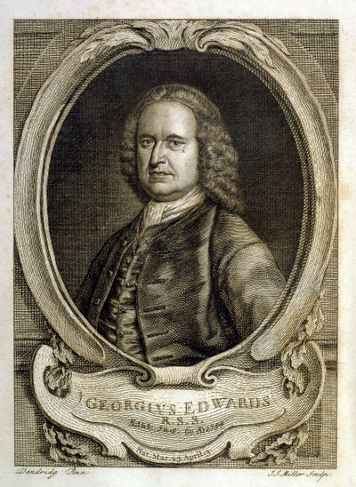  alkotó: George Edwards