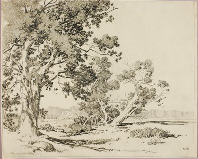 (Cím nélkül) alkotó: George Elbert Burr