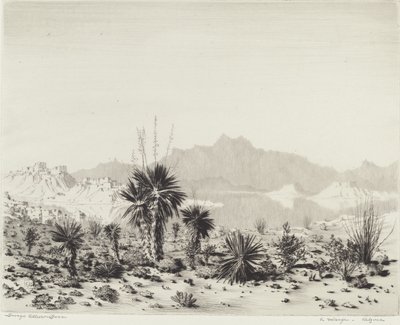 Mirage, Arizona alkotó: George Elbert Burr