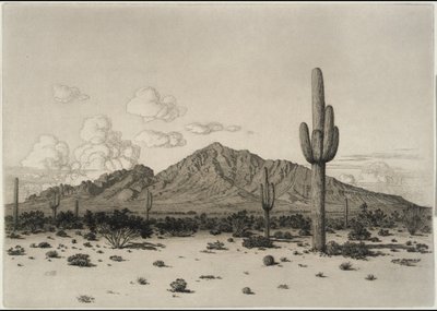 Camelback-hegy, Phoenix alkotó: George Elbert Burr