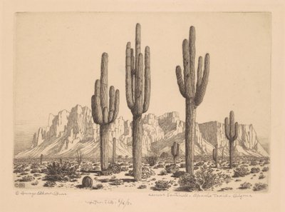 Desert Sentinels, Apache Trail, Arizona alkotó: George Elbert Burr