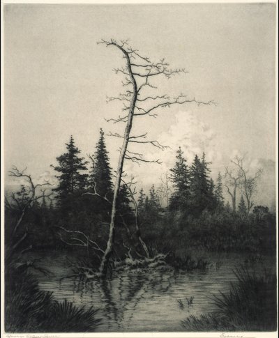 Este alkotó: George Elbert Burr