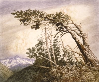 A szelek otthona [No. 2] alkotó: George Elbert Burr