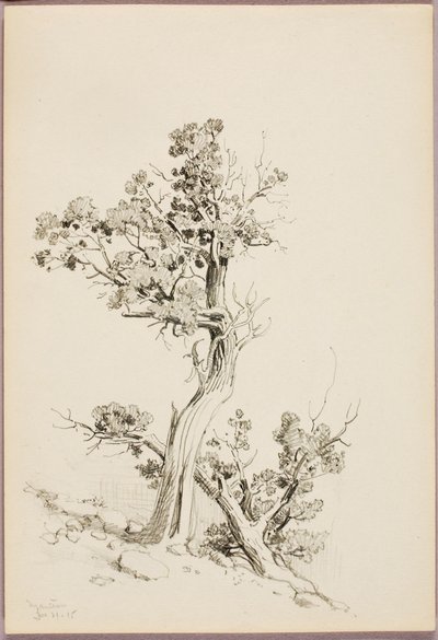 Manitou alkotó: George Elbert Burr