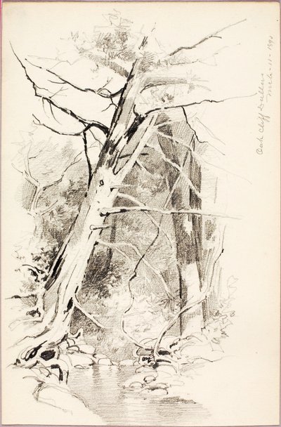 Oak Cliff, Dallas alkotó: George Elbert Burr