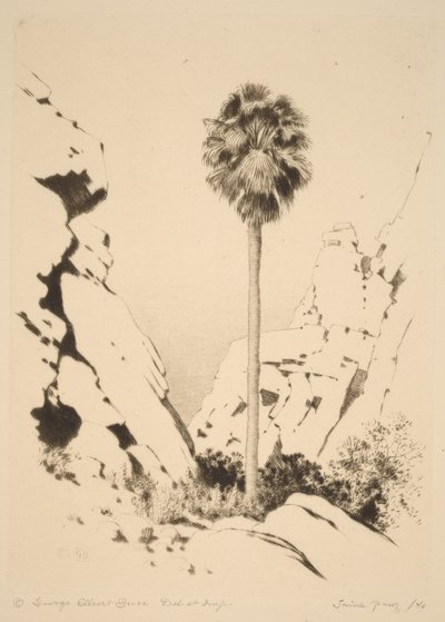 Palm Canyon (1. sz.) alkotó: George Elbert Burr