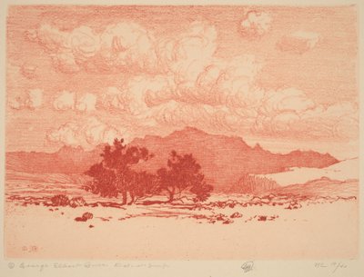 Palo verde fák alkotó: George Elbert Burr