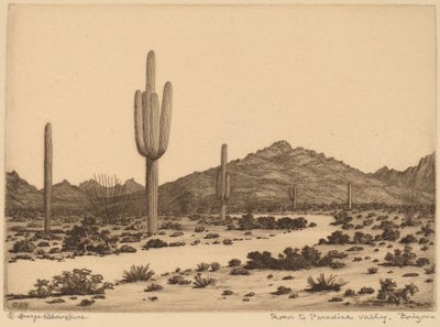 Út a Paradise Valley-be, Arizonába alkotó: George Elbert Burr