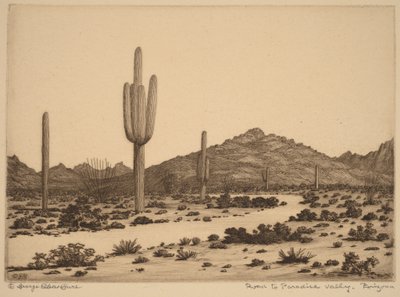 Út Paradise Valleybe, Arizona alkotó: George Elbert Burr