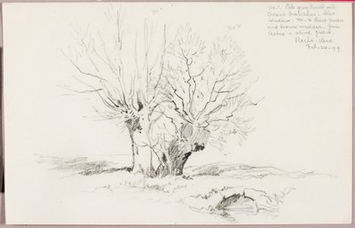 Roche Vaud alkotó: George Elbert Burr