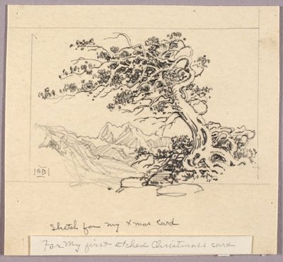 Vázlat karácsonyi üdvözlőlaphoz (Windswept Pine [no. 1]) alkotó: George Elbert Burr