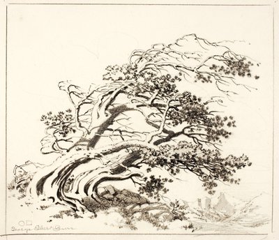 Sketch for Pines in Wind, Estes Park alkotó: George Elbert Burr