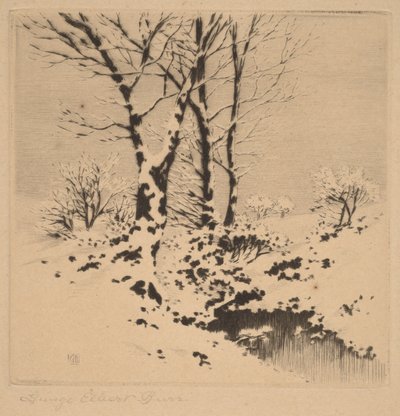Hó alkotó: George Elbert Burr