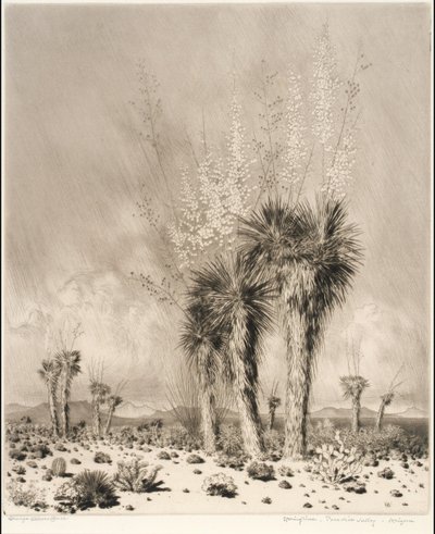 Tavasz, Paradise Valley, Arizona alkotó: George Elbert Burr
