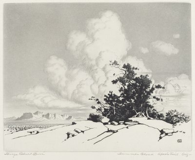 Nyári felhő, Apache Trail, Arizona alkotó: George Elbert Burr