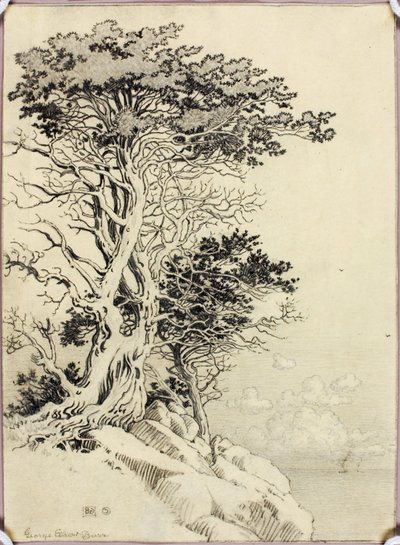 Cím nélkül (rajz nyomtatáshoz) alkotó: George Elbert Burr