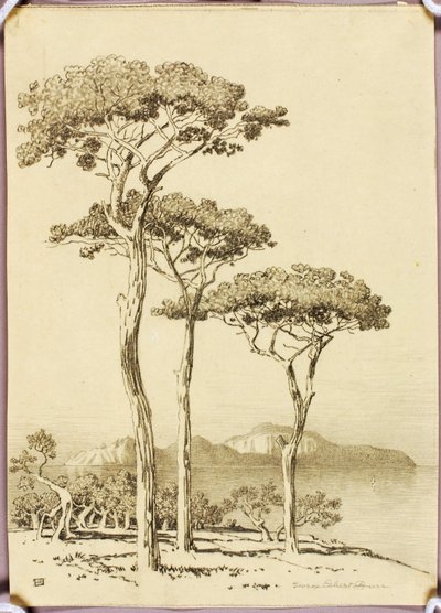Cím nélkül (átviteli rajz Caprihoz, Sorrentóból) alkotó: George Elbert Burr