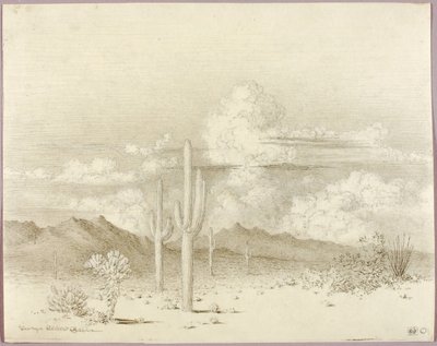 Cím nélkül (átviteli rajz az Este, Paradise Valley, Arizona című műhöz) alkotó: George Elbert Burr