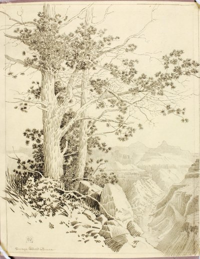 Cím nélkül (átviteli rajz nyomtatáshoz) alkotó: George Elbert Burr