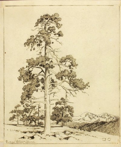 Cím nélkül (átviteli rajz nyomathoz) alkotó: George Elbert Burr