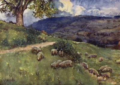 Egy cotswoldi juh-legelő alkotó: George Franck Nicholls