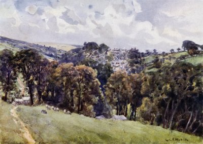 Camelford (színes litó) alkotó: George Franck Nicholls