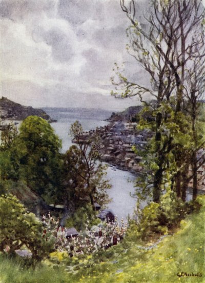 Fowey (színes litó) alkotó: George Franck Nicholls