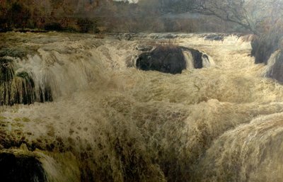 Salmon Leap, Cenarth Falls, Cardiganshire, Wales, 1878 alkotó: George Frank Miles
