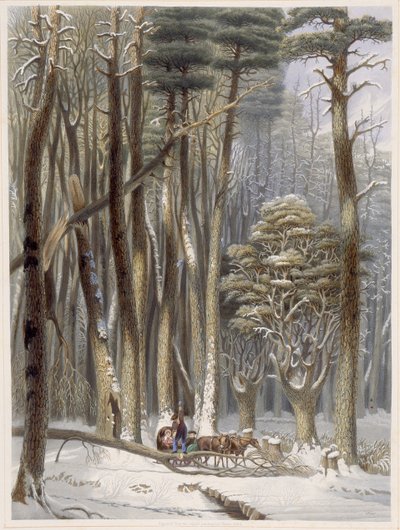 Tél, akadályozott utazók egy fenyőerdőben, a Harveys Scenes of the Primitive Forest of America, 1841-ből (kézzel színezett akvatinta) alkotó: George Harvey