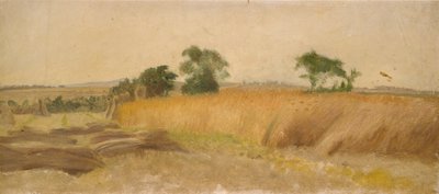 Tanulmány egy kukoricatábláról, 19. század közepe alkotó: George Heming Mason