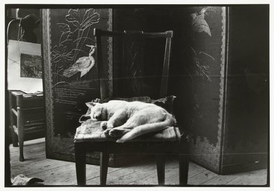 Macska egy széken Breitner amszterdami stúdiójában alkotó: George Hendrik Breitner